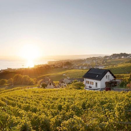 Hotel #Lavaux Lutry Exteriér fotografie
