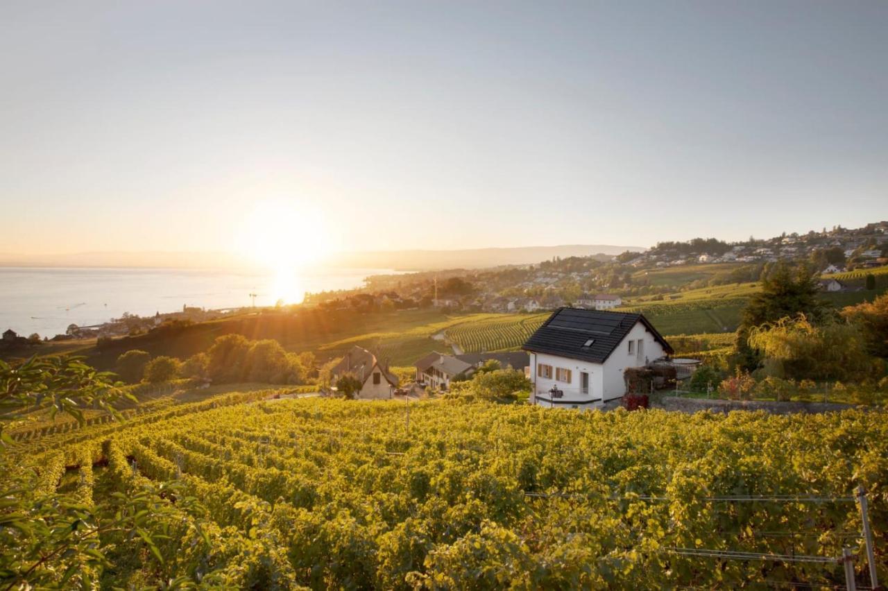 Hotel #Lavaux Lutry Exteriér fotografie